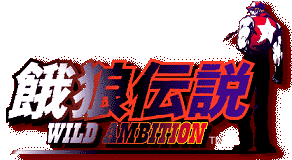 ��T�`��WILD AMBITION