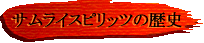 �T�����C�̗��j